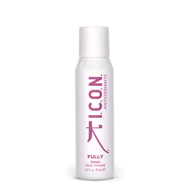 Fully Antioxidant Shampoo Travel 70ml